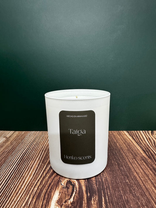 Vela Taiga - La belleza silenciosa de un bosque boreal